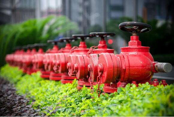 市場報告(gao)|控制閥、<a data-cke-saved-href='http://famens.com/Product-qiufa.html' href='http://famens.com/Product-qiufa.html' target='_blank'>球閥</a>、閥門(men)控制器市場前瞻(zhān) 市(shi)場報告|控制閥、<a data-cke-saved-href='http://famens.com/Product-qiufa.html' href='/3G/Partners/Kangya-53.html' target='_blank'>球(qiu)閥</a>、閥門控制器市(shì)場前瞻